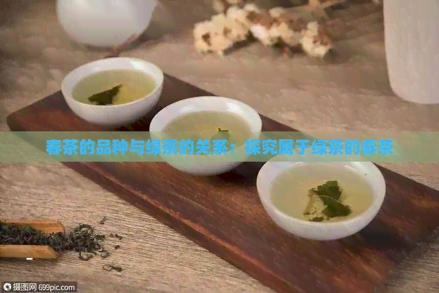 春茶的品种与绿茶的关系：探究属于绿茶的春茶