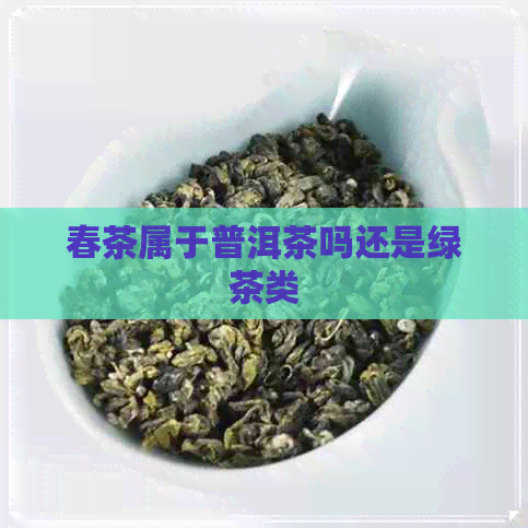 春茶属于普洱茶吗还是绿茶类