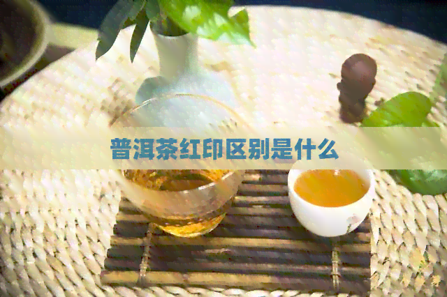 普洱茶红印区别是什么