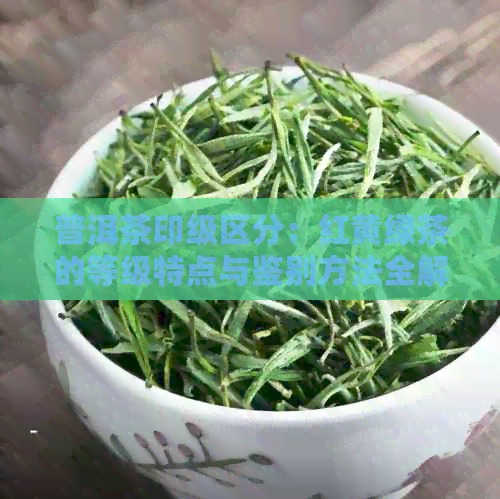 普洱茶印级区分：红黄绿茶的等级特点与鉴别方法全解析