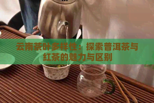 云南茶叶多样性：探索普洱茶与红茶的魅力与区别