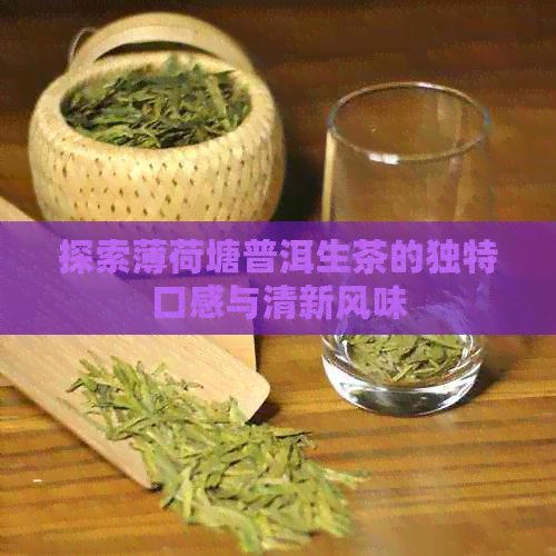 探索薄荷塘普洱生茶的独特口感与清新风味