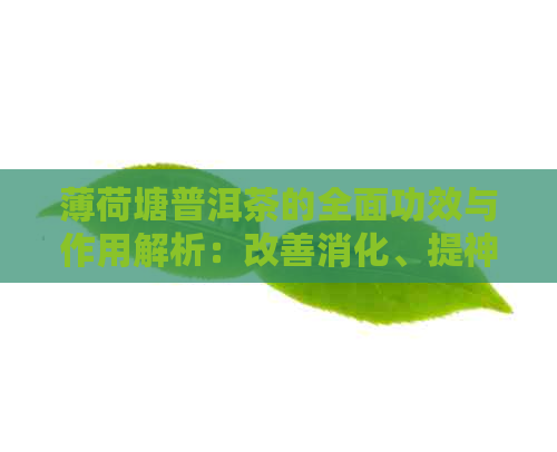 薄荷塘普洱茶的全面功效与作用解析：改善消化、提神醒脑还是减肥养颜？