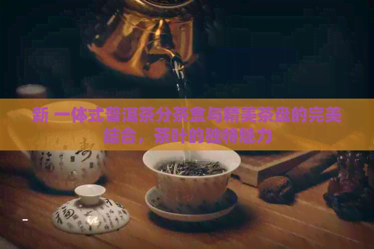 新 一体式普洱茶分茶盒与精美茶盘的完美结合，茶叶的独特魅力