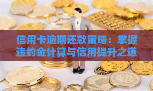 信用卡逾期还款策略：掌握违约金计算与信用提升之道