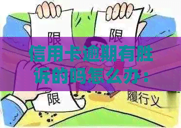 信用卡逾期有胜诉的吗怎么办：2021、2020年信用卡逾期被起诉处理方法。