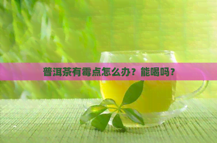 普洱茶有霉点怎么办？能喝吗？