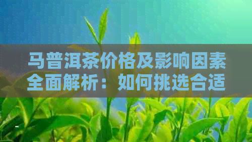 马普洱茶价格及影响因素全面解析：如何挑选合适的茶叶？