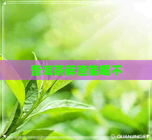 普洱茶碎渣能喝不