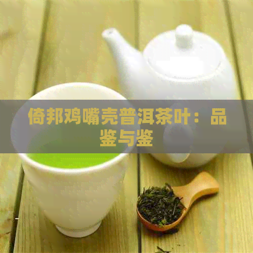 倚邦鸡嘴壳普洱茶叶：品鉴与鉴