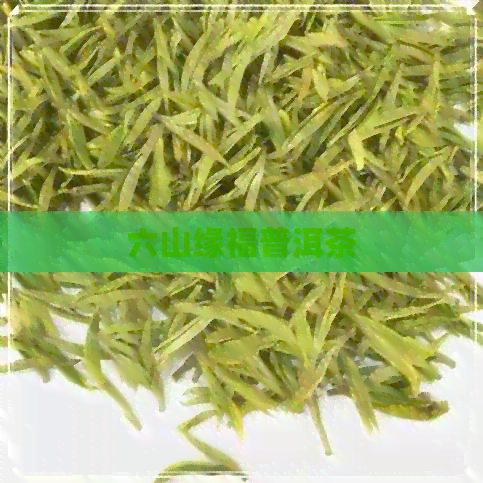 六山缘福普洱茶