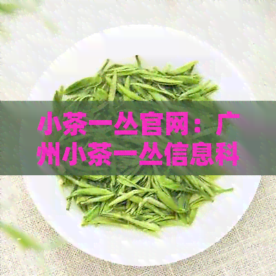 小茶一丛官网：广州小茶一丛信息科技的茶好吗？