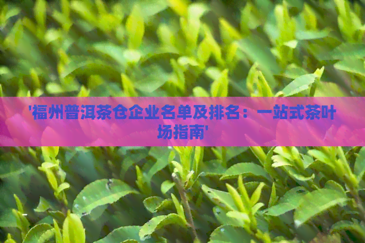 '福州普洱茶仓企业名单及排名：一站式茶叶场指南'