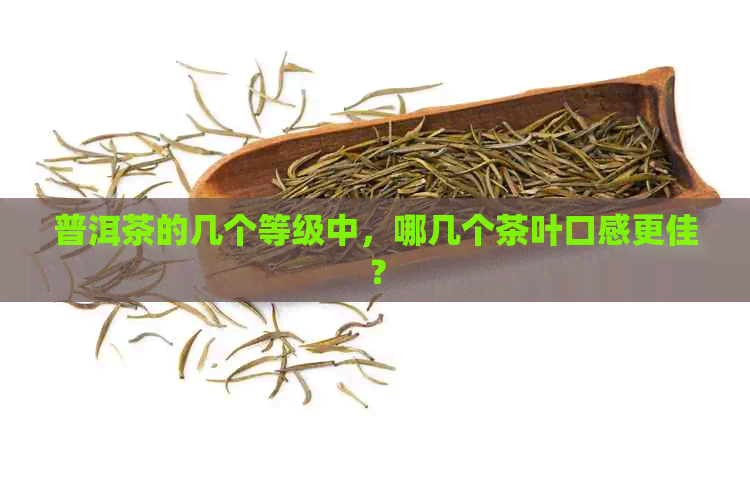 普洱茶的几个等级中，哪几个茶叶口感更佳？