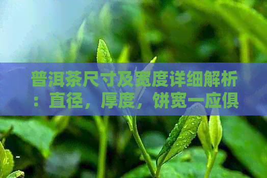 普洱茶尺寸及宽度详细解析：直径，厚度，饼宽一应俱全