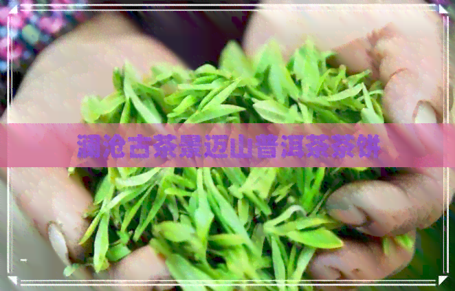 澜沧古茶景迈山普洱茶茶饼