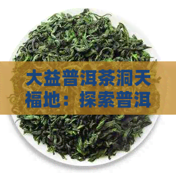 大益普洱茶洞天福地：探索普洱茶文化的奥秘与魅力