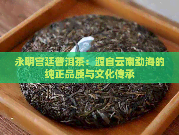 永明宫廷普洱茶：源自云南勐海的纯正品质与文化传承