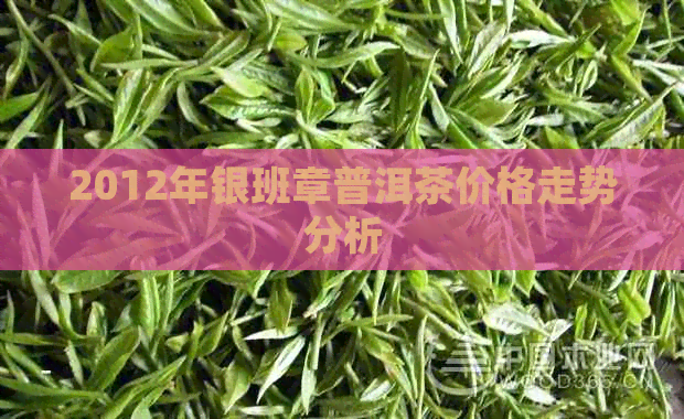 2012年银班章普洱茶价格走势分析