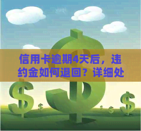 信用卡逾期4天后，违约金如何退回？详细处理步骤解析