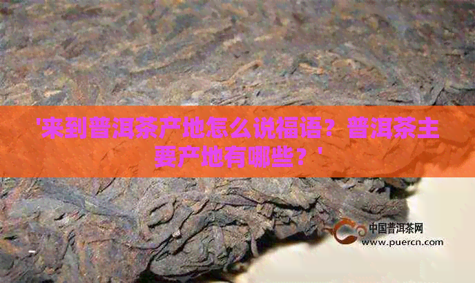 '来到普洱茶产地怎么说福语？普洱茶主要产地有哪些？'