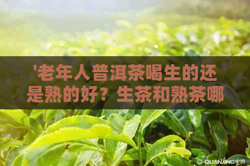 '老年人普洱茶喝生的还是熟的好？生茶和熟茶哪个更适合老年人饮用？'