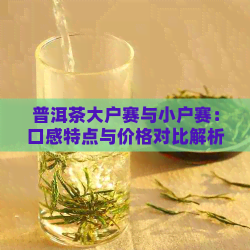 普洱茶大户赛与小户赛：口感特点与价格对比解析