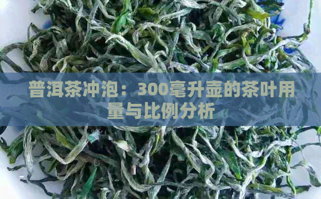 普洱茶冲泡：300毫升壶的茶叶用量与比例分析