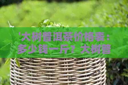 '大树普洱茶价格表：多少钱一斤？大树普洱茶的功效和药用价值是什么？'