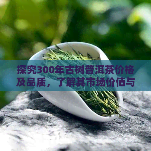 探究300年古树普洱茶价格及品质，了解其市场价值与购买建议