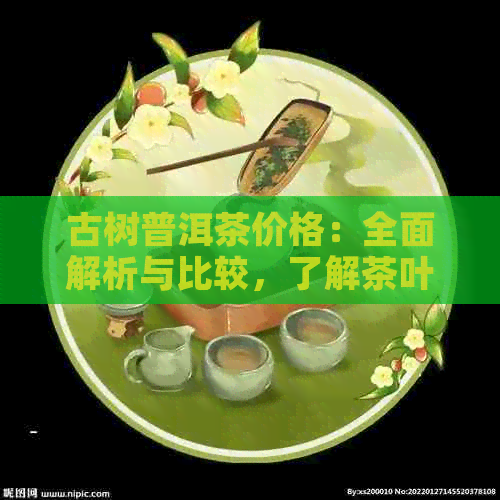 古树普洱茶价格：全面解析与比较，了解茶叶品质与市场行情