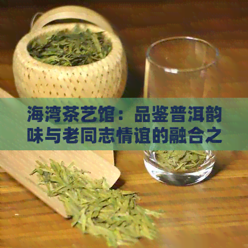 海湾茶艺馆：品鉴普洱韵味与老同志情谊的融合之地