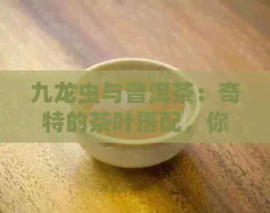 九龙虫与普洱茶：奇特的茶叶搭配，你敢尝试吗？