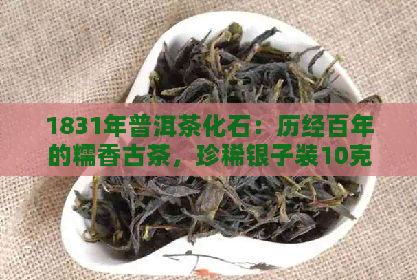 1831年普洱茶化石：历经百年的糯香古茶，珍稀银子装10克