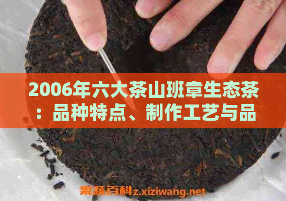 2006年六大茶山班章生态茶：品种特点、制作工艺与品饮体验全面解析