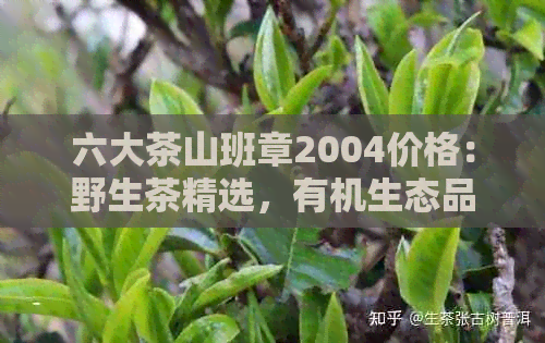 六大茶山班章2004价格：野生茶精选，有机生态品质保证。