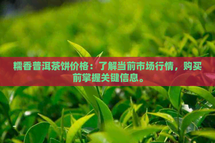 糯香普洱茶饼价格：了解当前市场行情，购买前掌握关键信息。