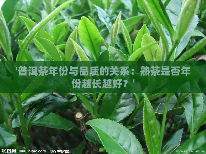 '普洱茶年份与品质的关系：熟茶是否年份越长越好？'