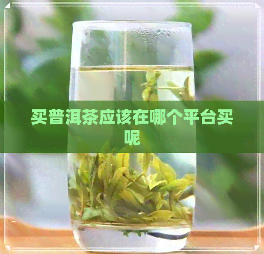 买普洱茶应该在哪个平台买呢