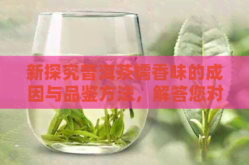 新探究普洱茶糯香味的成因与品鉴方法，解答您对普洱茶独特风味的疑虑