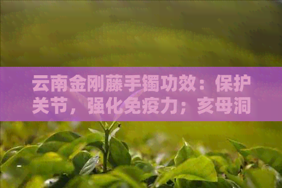 云南金刚藤手镯功效：保护关节，强化免疫力；亥母洞奇观，沉香独特香气。