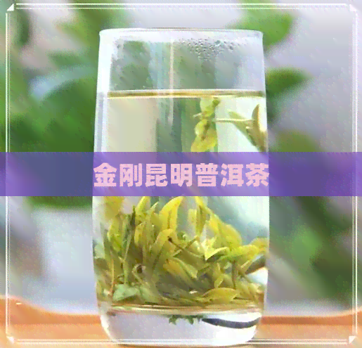 金刚昆明普洱茶