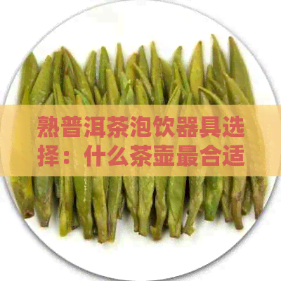 熟普洱茶泡饮器具选择：什么茶壶最合适？