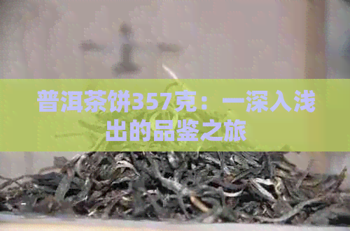 普洱茶饼357克：一深入浅出的品鉴之旅