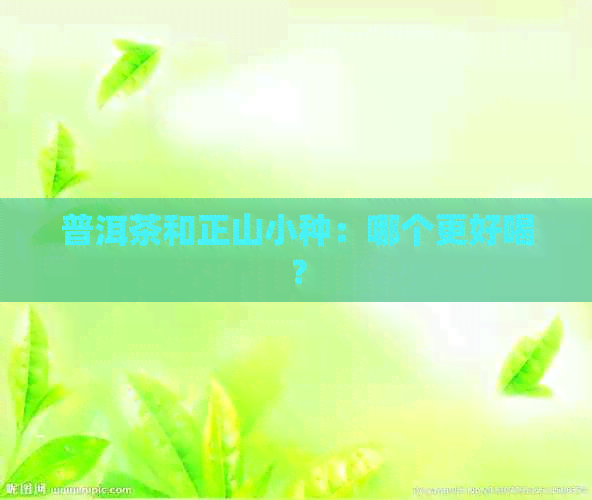 普洱茶和正山小种：哪个更好喝？