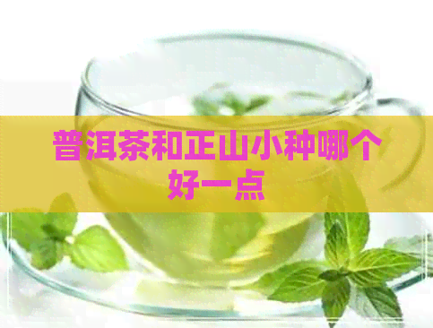 普洱茶和正山小种哪个好一点