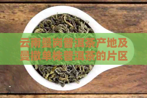 云南曼岗普洱茶产地及曼撤单株普洱茶的片区分布：曼捌普洱茶