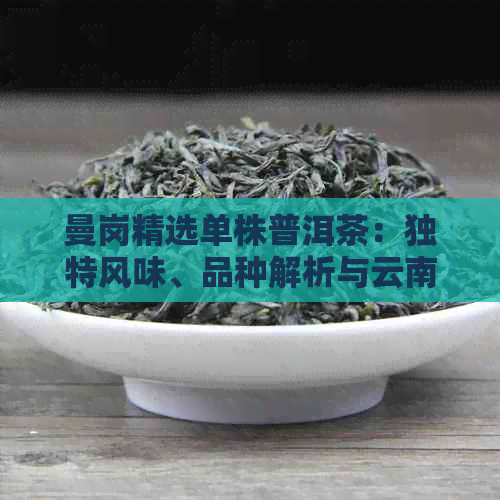 曼岗精选单株普洱茶：独特风味、品种解析与云南特色产区的精致品味