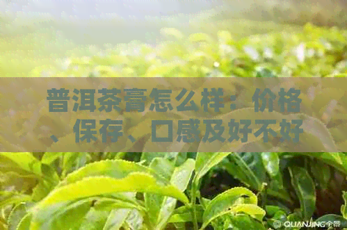 普洱茶膏怎么样：价格、保存、口感及好不好喝？