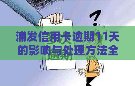 浦发信用卡逾期11天的影响与处理方法全面解析：了解严重性、后果及解决方案